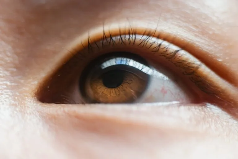 Macrophotographie d’un œil brun : iris, pupille et paupière supérieure
