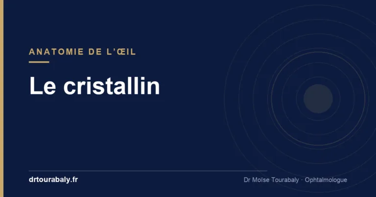 Le cristallin, lentille naturelle de l’œil — glossaire, cabinet du Dr Tourabaly