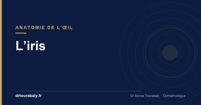 L’iris, membrane colorée de l’œil — glossaire, Dr Tourabaly