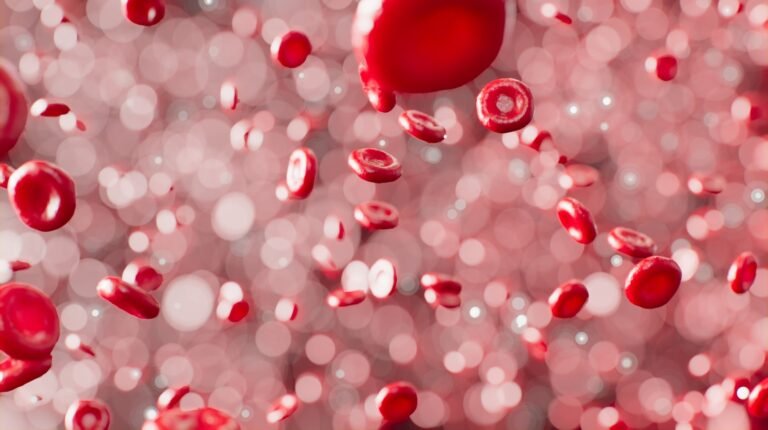 Globules rouges : dans la drépanocytose, leur déformation obstrue les micro-vaisseaux de la rétine
