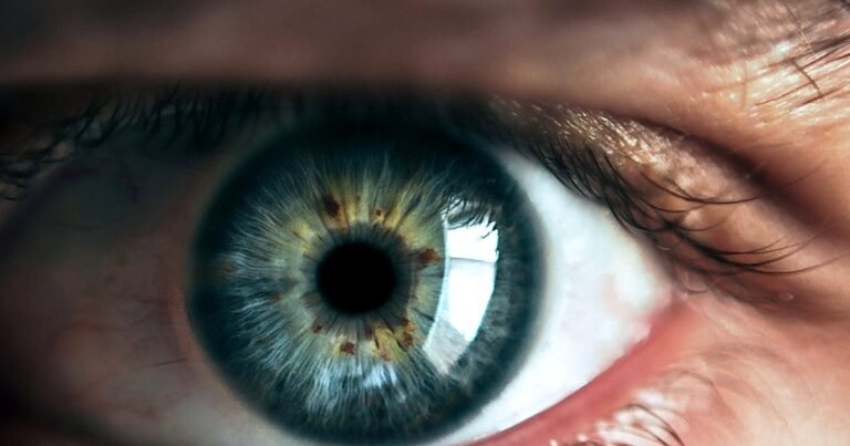 Œil humain en macrophotographie : iris, cornée et limbe visibles