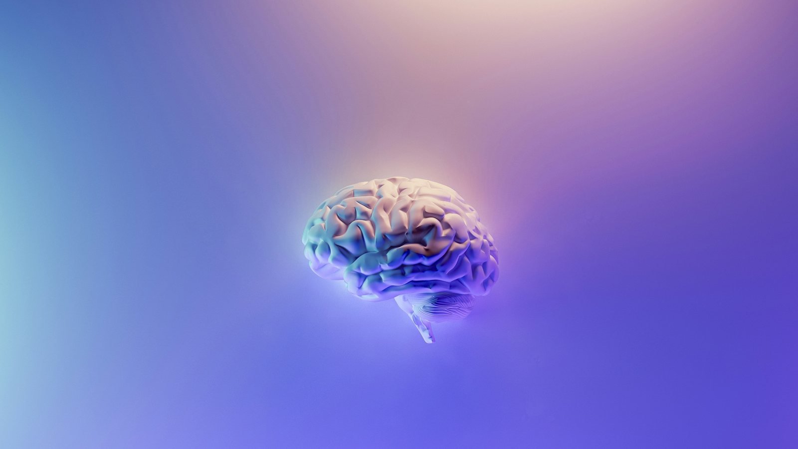 神経科学の研究室