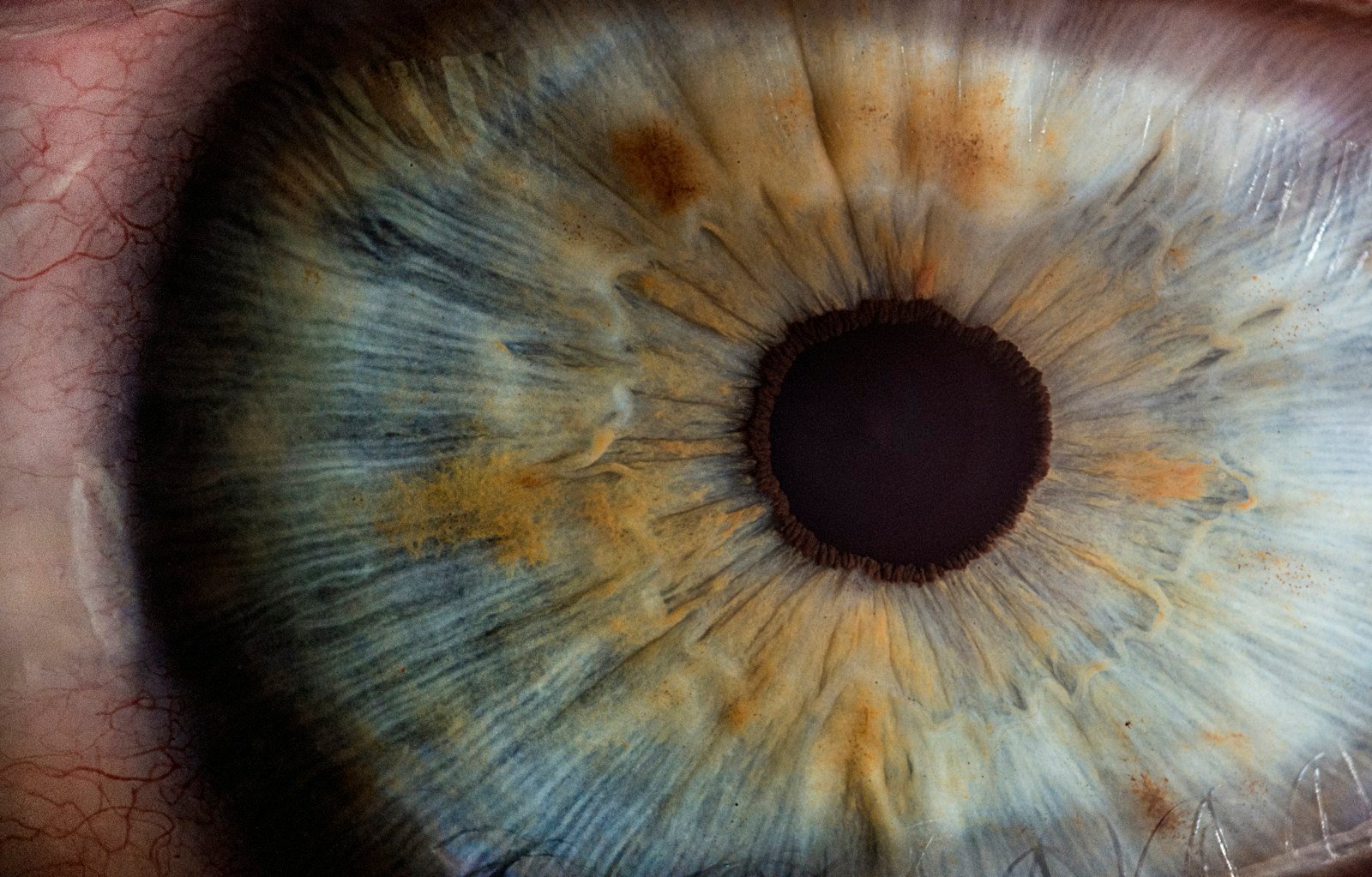 Primo piano su un occhio umano, riflessi di luce sul film lacrimale
