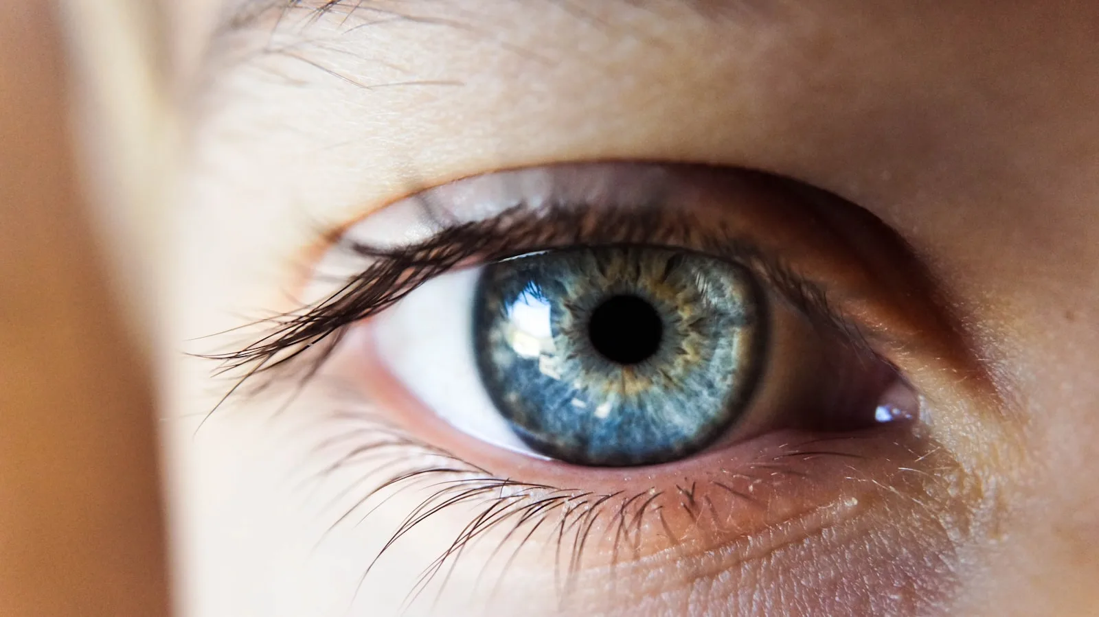 Pediatric ophthalmic screening examination