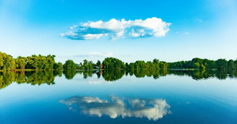 Trees and clouds reflected in a calm lake