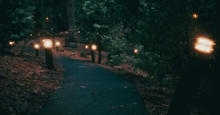 Forest path lit by lanterns at nightfall